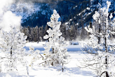 Jackson Hole, Wyoming