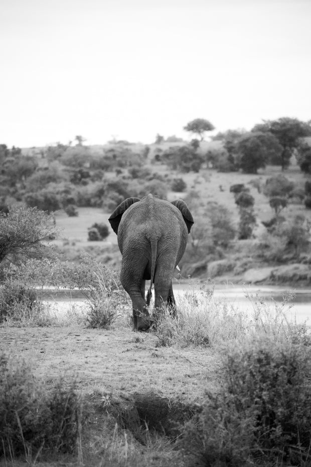 Le Derrière