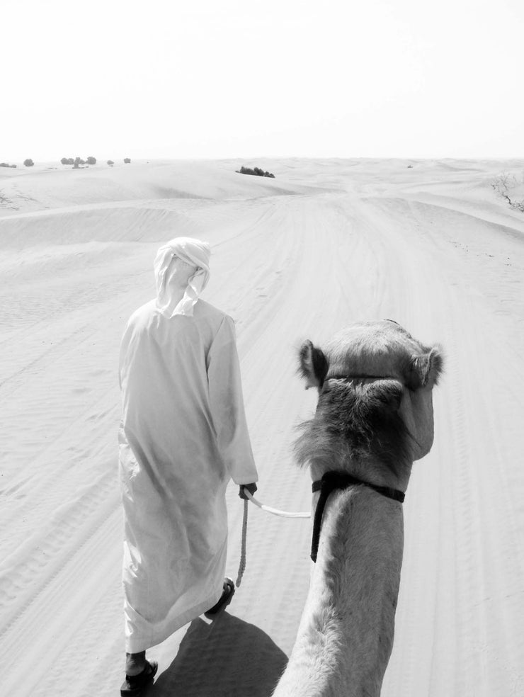 Post Sunrise, Arabian Desert