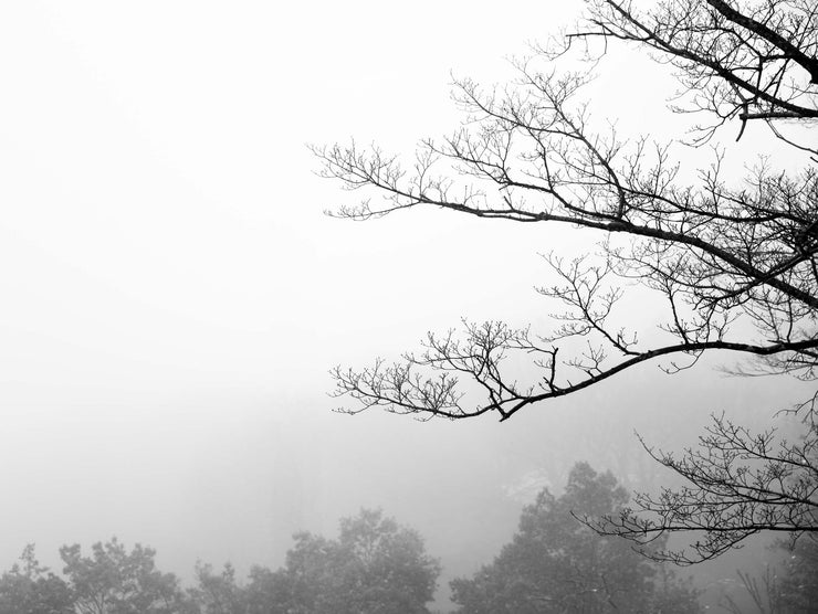 Mist
