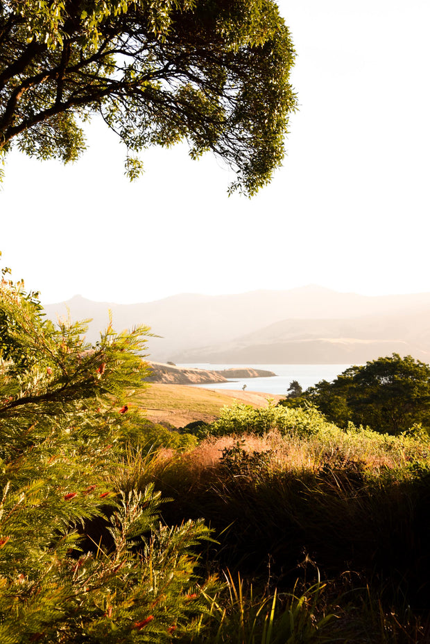 Sunset Akaroa