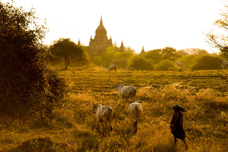 ¨Sunset Myanmar¨Limited Edition 1/8