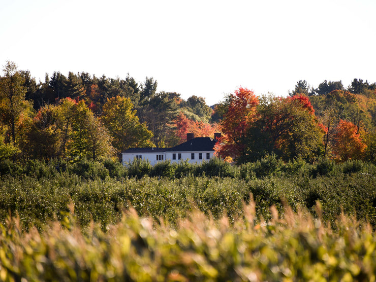 Maine