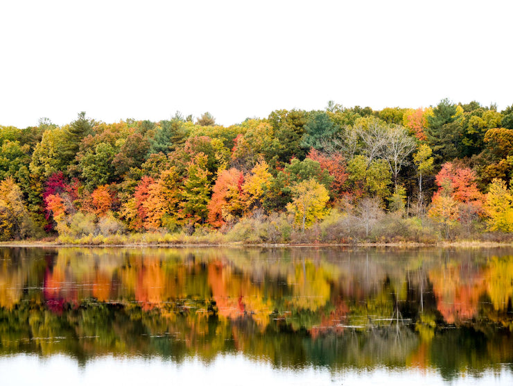 Grafton Lake, Massachusetts