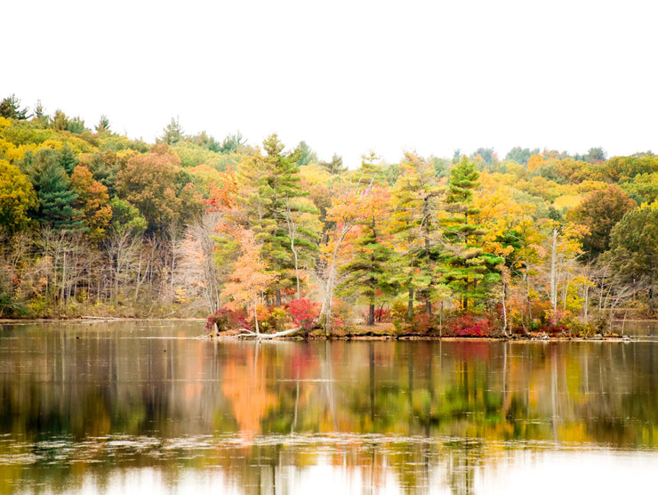 Grafton Lake, Massachusetts