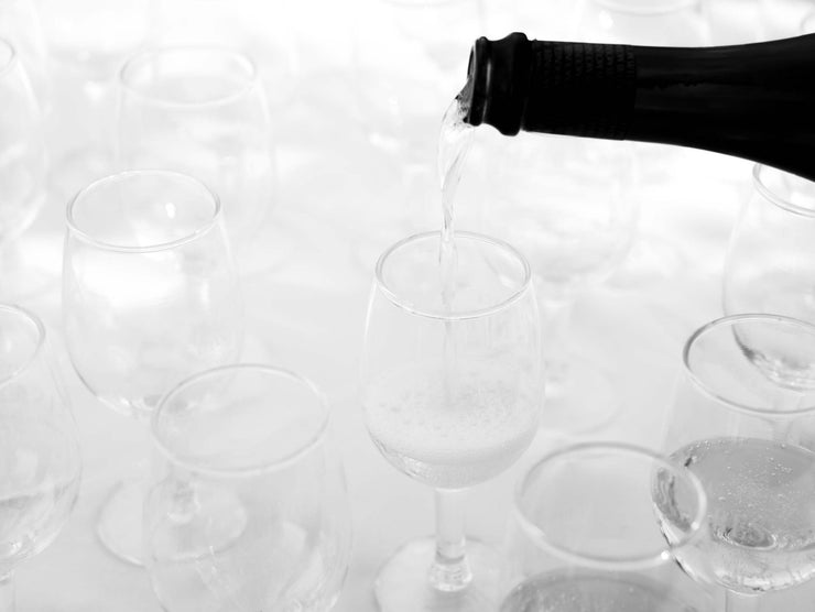 Wine Tasting, Finca las Nubes