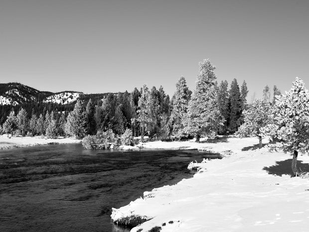 Yellowstone National Park