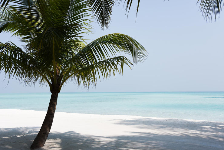 Island for One