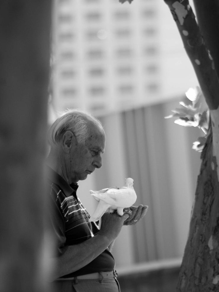Kindness, Melbourne
