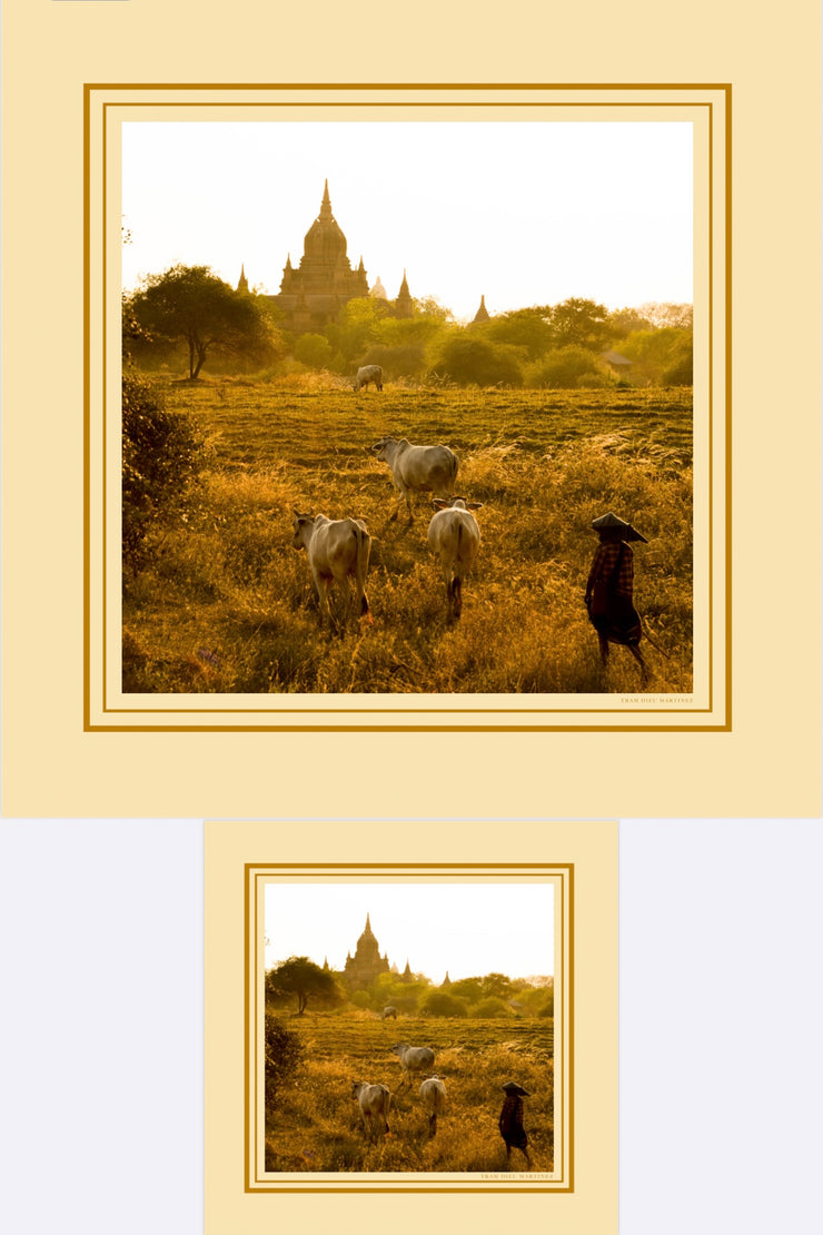 Sunset Myanmar (Sold Out)
