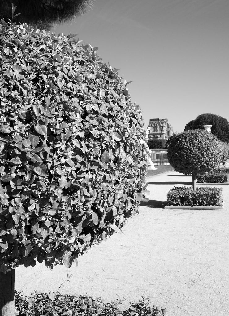 Tuileries