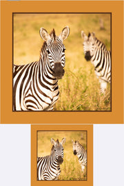 Reflection Tanzania (Sold Out)