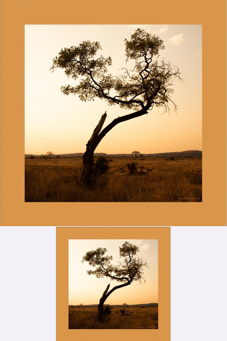 Sunset Tanzania (Sold Out)